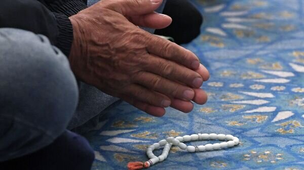    © Sputnik / Максим Богодвид