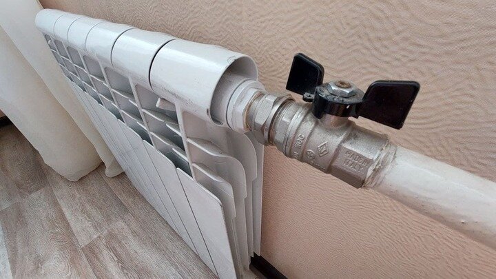 Фото: Царьград