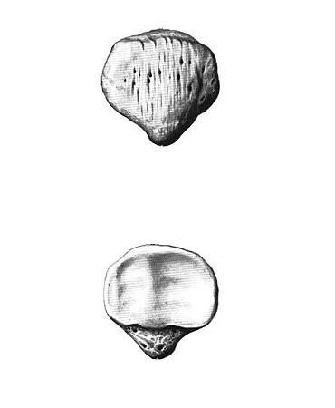 Вот так выглядит.