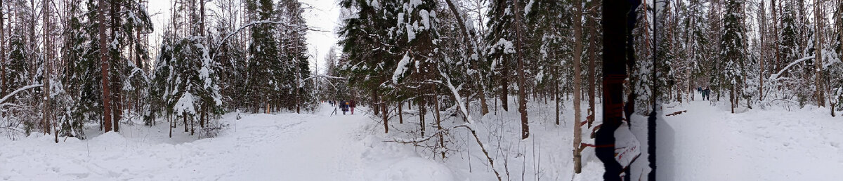 Тропа Здоровья, 104-й мкрн., г. Череповец, 11.02.2023 г.