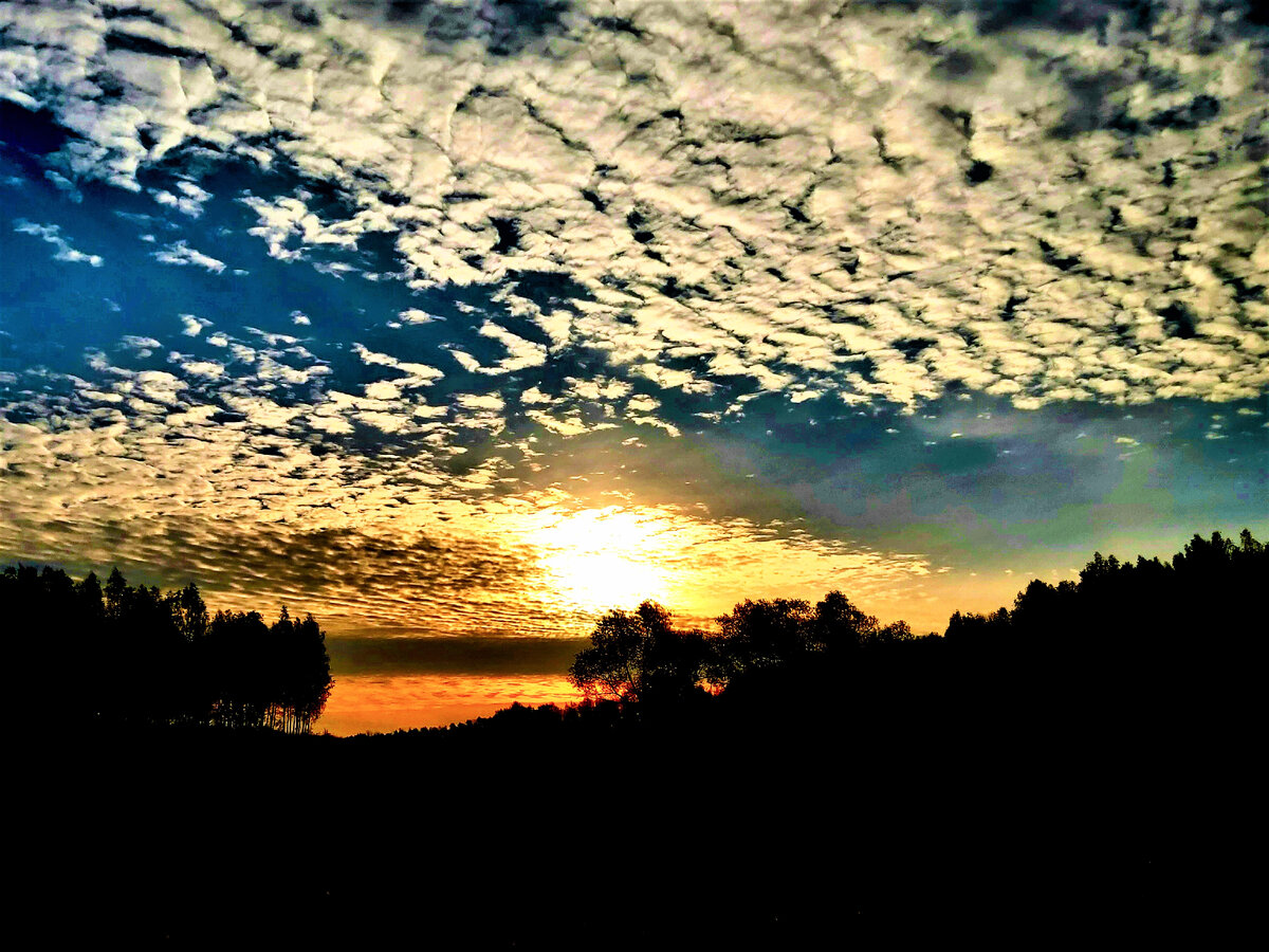 Закатная 6. Красивый зимний закат. Розовый закат в городе. Оттепель природа. Где встретить закат в уссурийске.