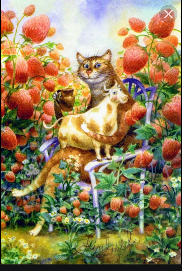 Картинка из интернета 