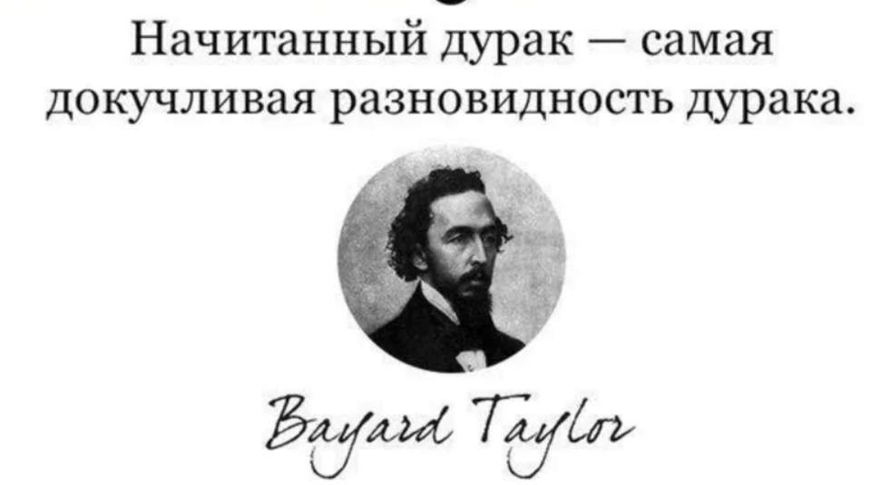 Почему любят дураки. Высказывания о дураках. Афоризмы про дураков. Высказывания умный и дурак. Афоризмы про умных и дураков.