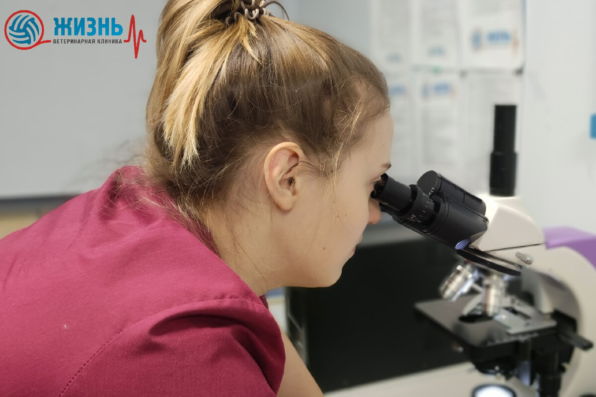 калуга жить отзывы