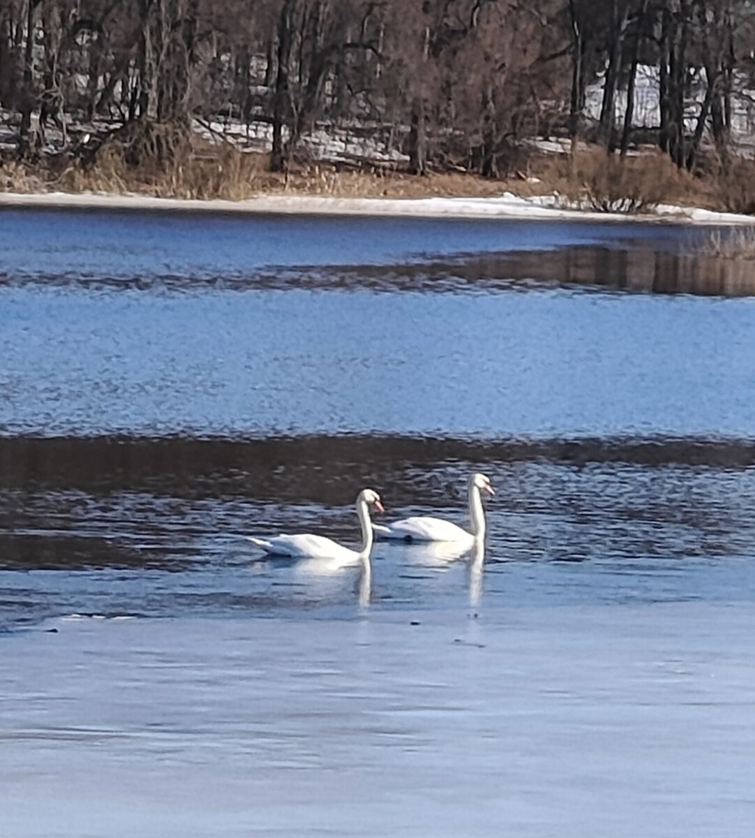 Личное фото канала Октаэдр 