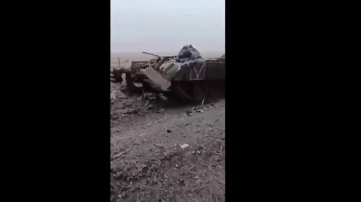 мобилизованные днр с винтовками мосина. александр жучковский. российские войска на украине. кот на баррикадах. кот военный.