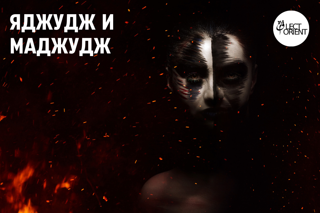 Фото взято из открытого фотостока Canva