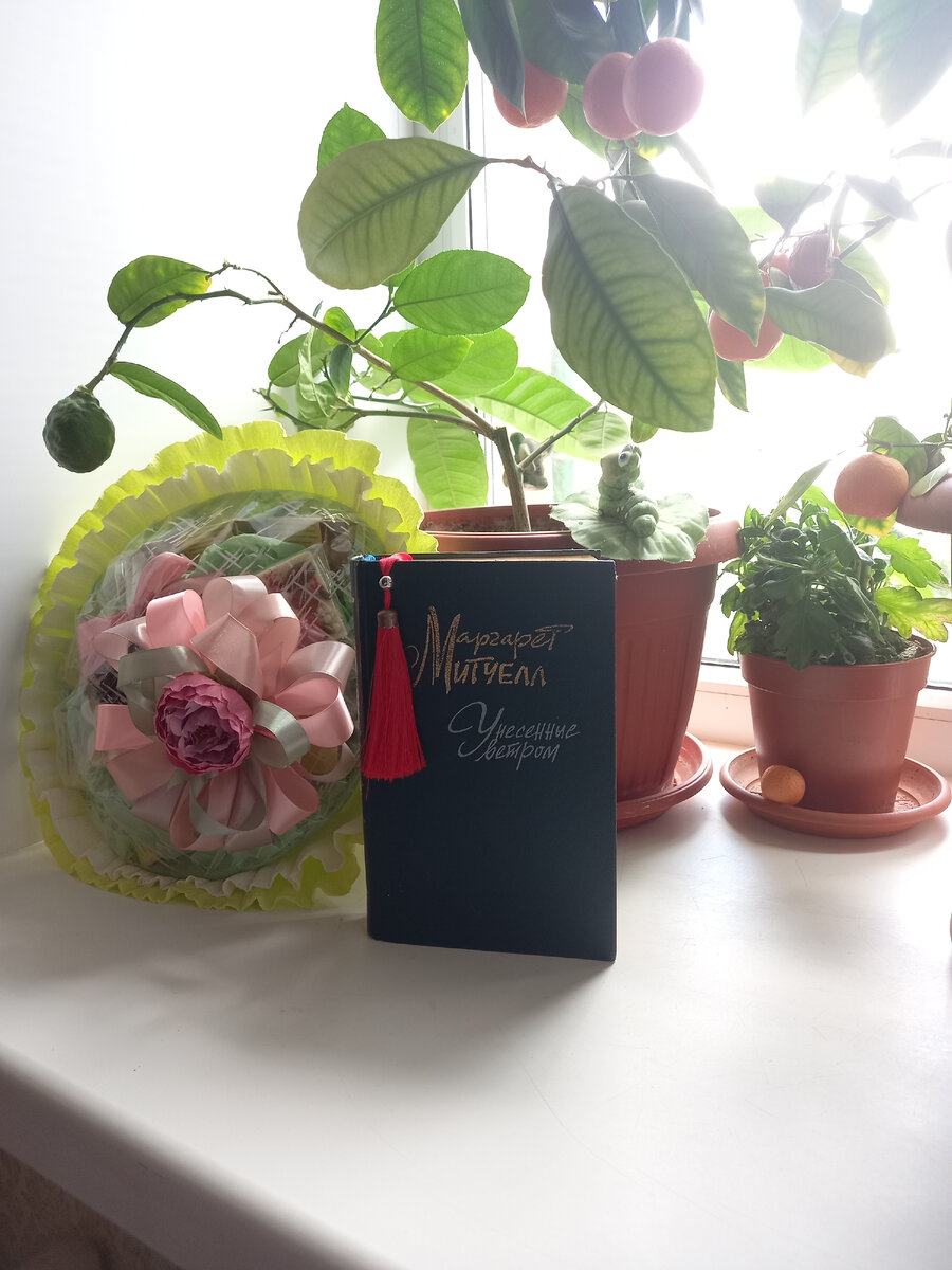 Фото автора канала 