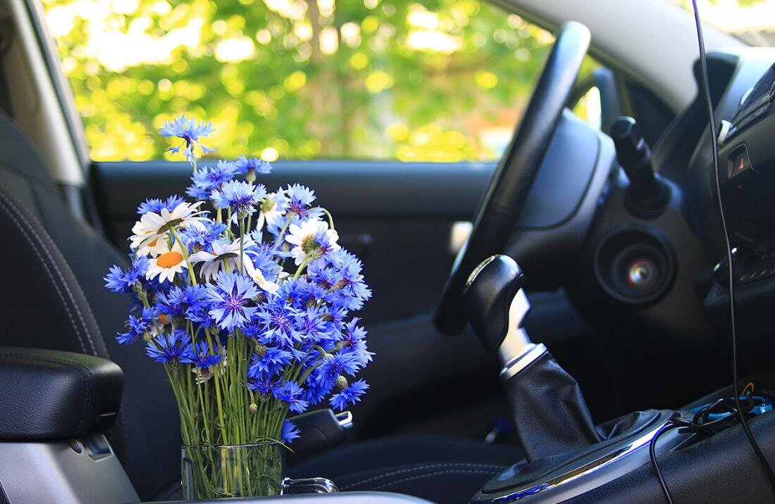 Букет полевых цветов в машине