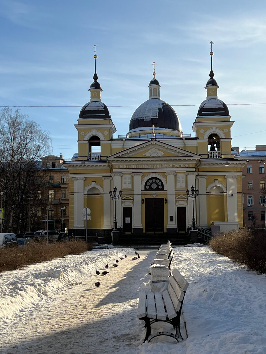 Фото сделано автором в Петербурге 12 февраля 2023