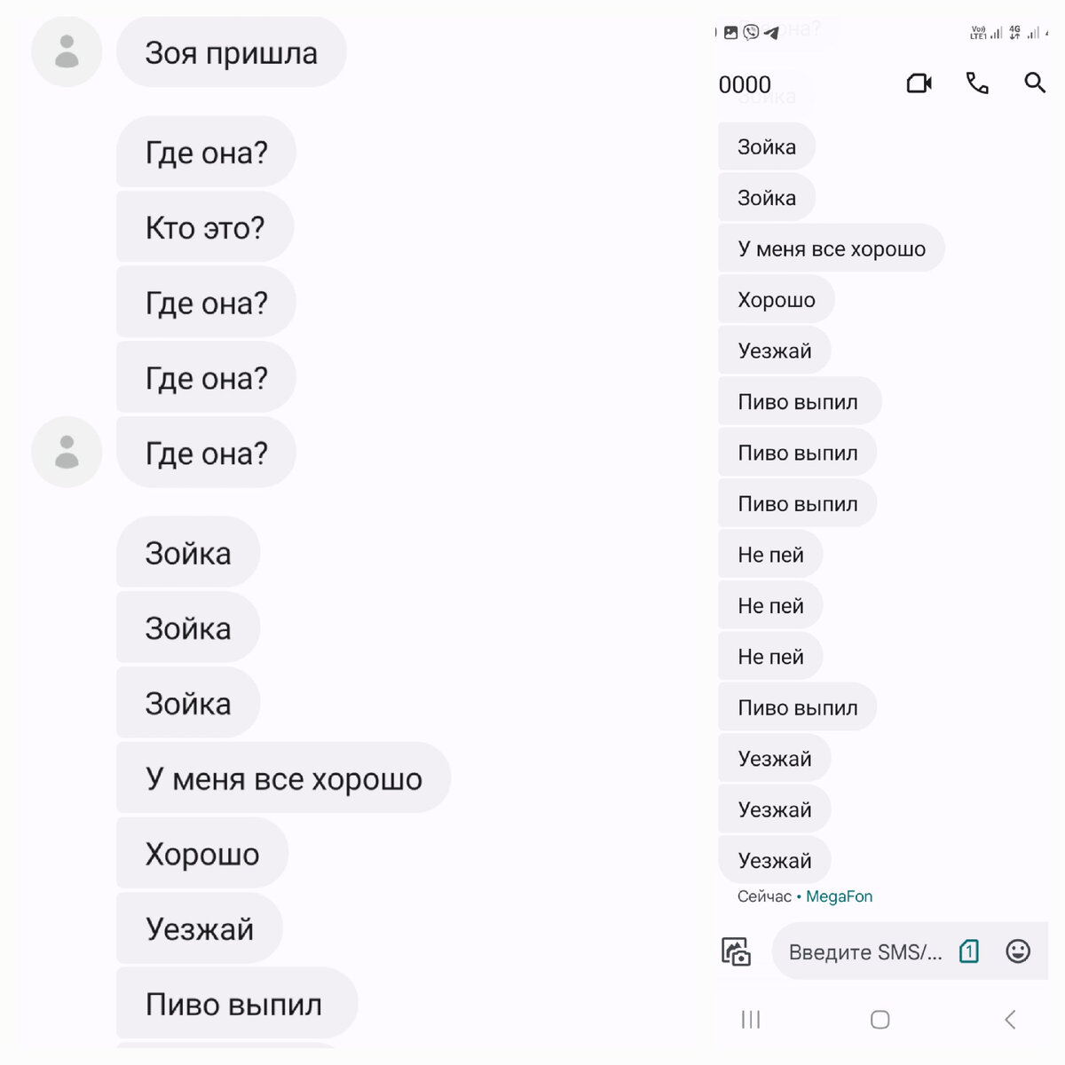 Вот такие сообщения. Это два скрина в коллаже. Начало там, где "Зоя пришла".