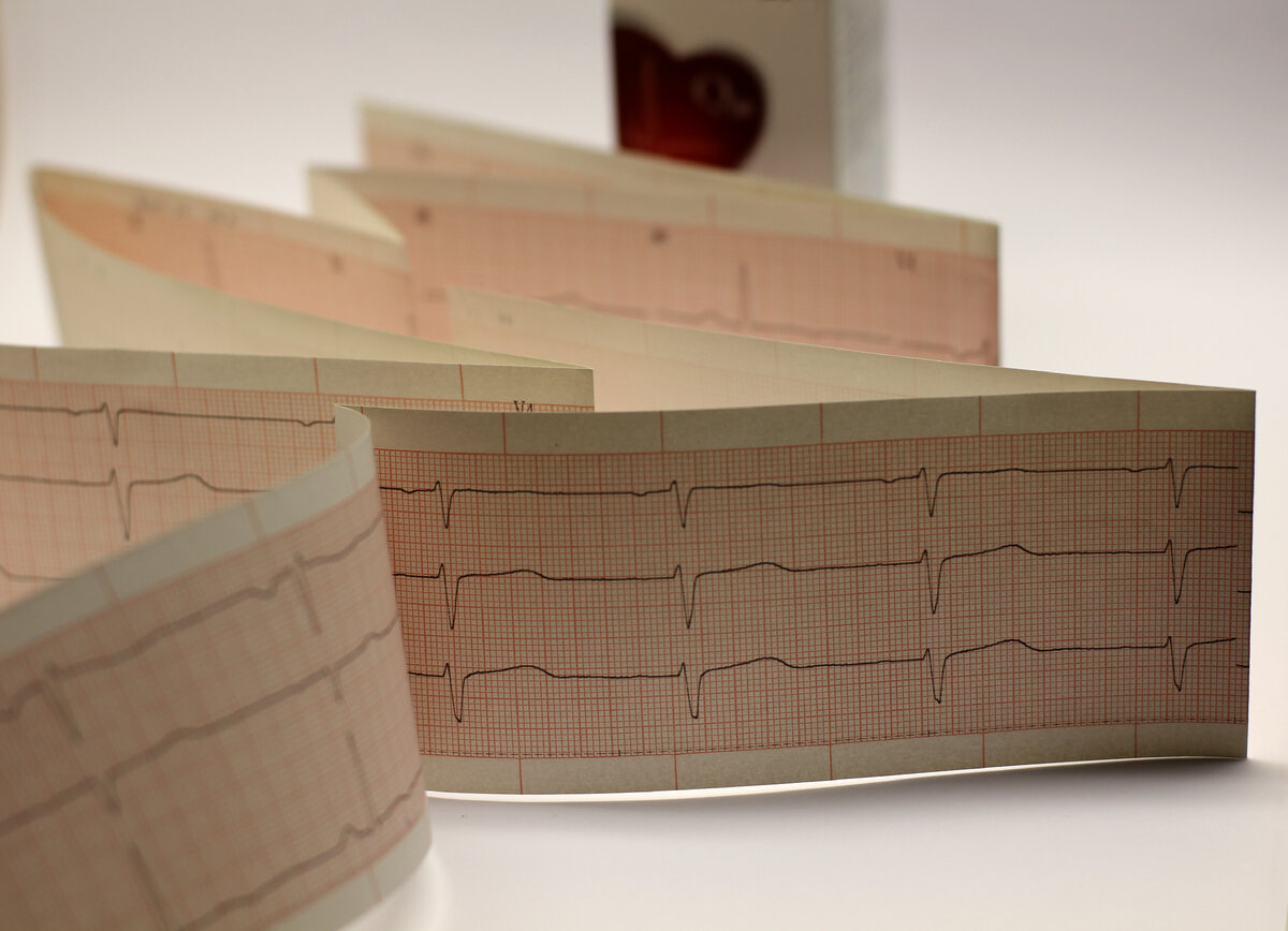 Фото: Арина Александрова