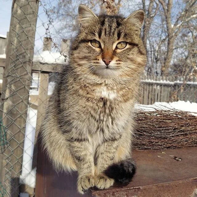 иллюстрация из яндекс картинки.