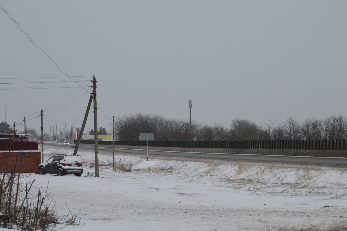 Фото автора. Февраль 2023. Зима пришла на Кубань.