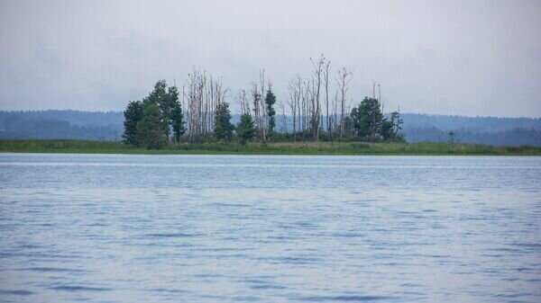    © Sputnik / Максим Богданович