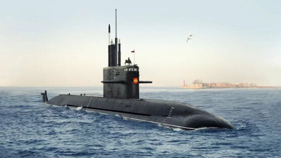    РФ предложила Индии совместно разработать подлодку на базе "Амура-1650" Анастасия Романова