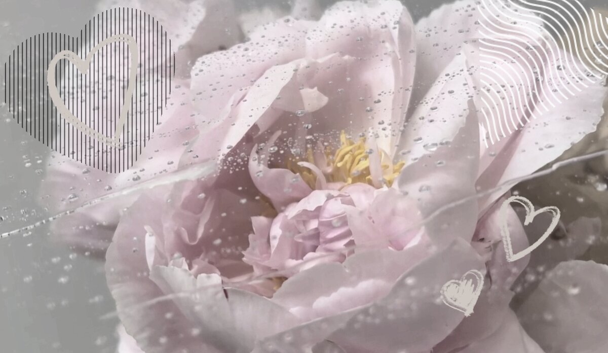 Суматоха в День Святого Валентина. Подарки, открытки, цветы - лишь головная боль