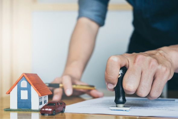 Фото: Worawee Meepian/shutterstock.com 