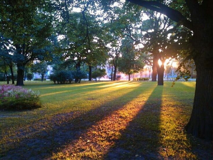 Яндекс картинки