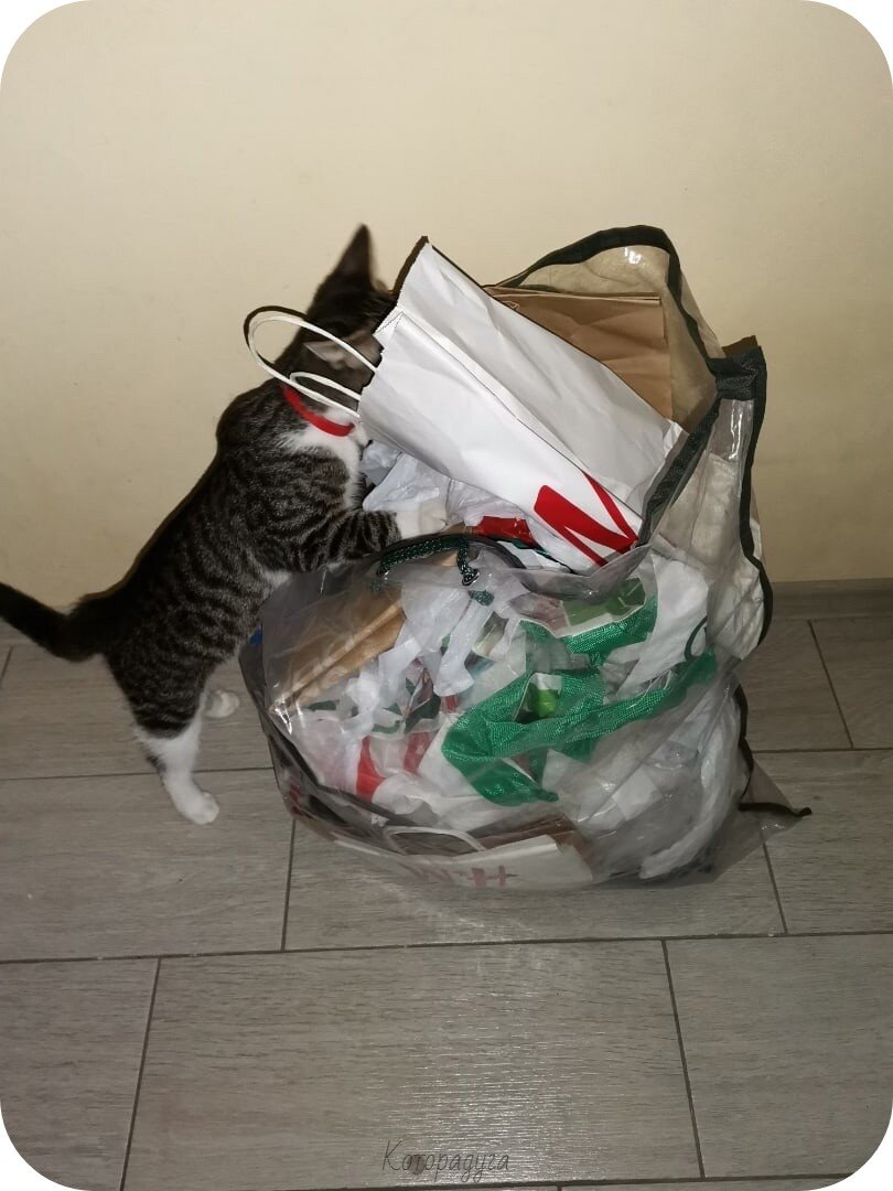Источник: pinterest.com
