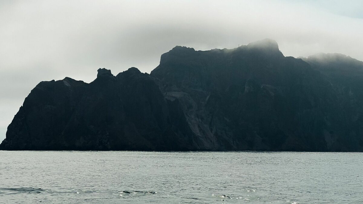     «Поющие» льдины издавали скрипы, напоминающие звуки животных, в Заливе Владимира Приморского края. Своеобразное выступление оценили пользователи соцсетей.