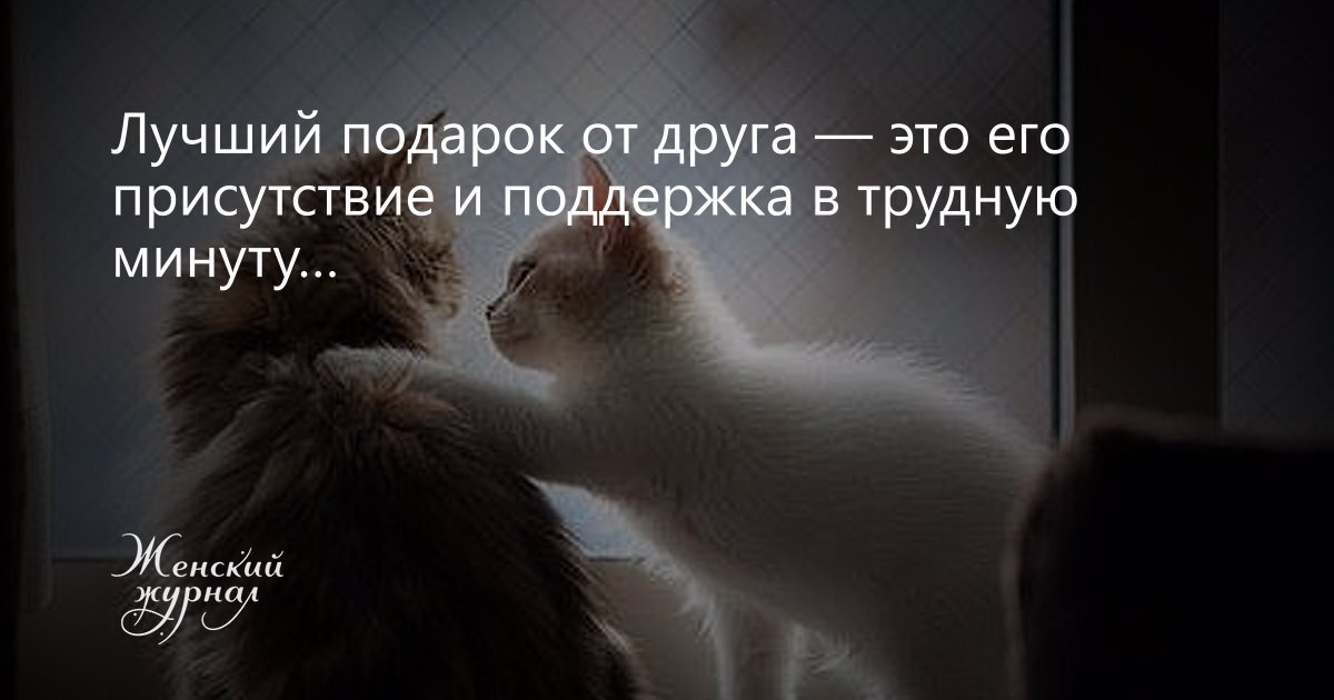 Оставил в трудную минуту. Цитаты про поддержку. Слова поддержки в трудную минуту. Поддержка подруги в трудную. Поддержать человека в трудную минуту в стихах.