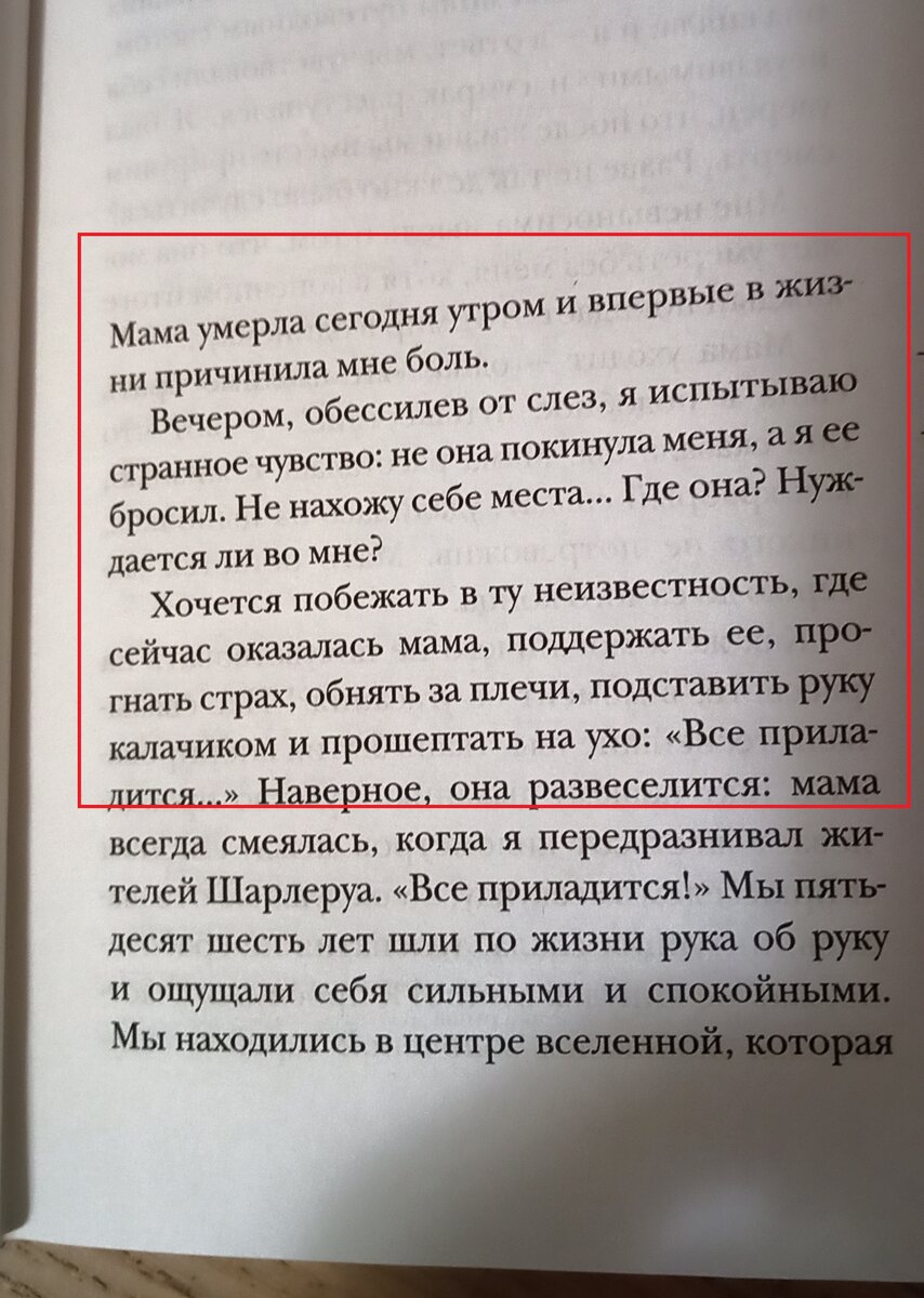 Мой круг чтения. Э.-Э. Шмитт. Дневник утраченной любви. Если мама ушла... |  Домик у моря | Дзен