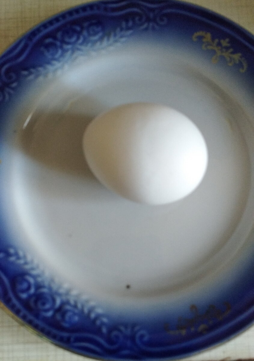 Личное   фото.