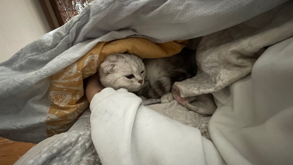 Гнездование.Поиск темным мест. Тиффани