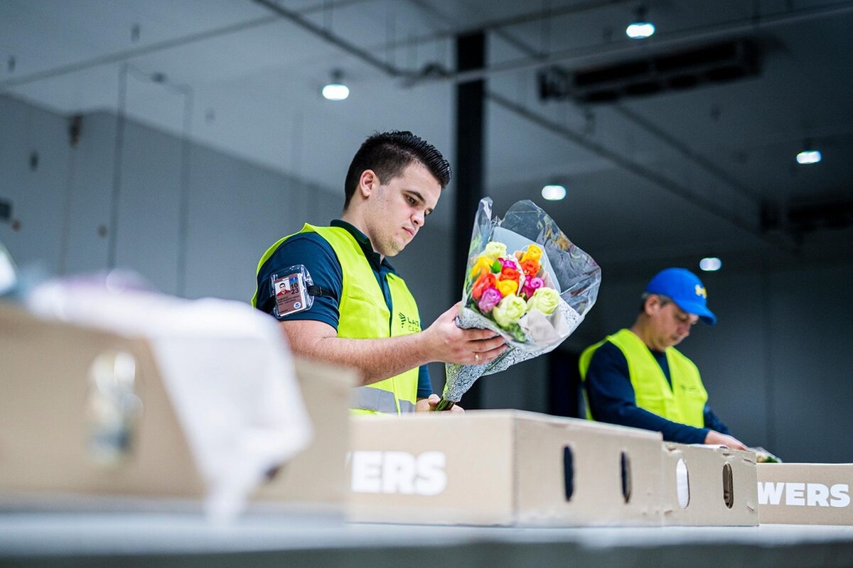 LATAM Cargo - один из крупнейших перевозчиков цветов. Специализируется на доставке их из Кито, Боготы и Медельина в Майами