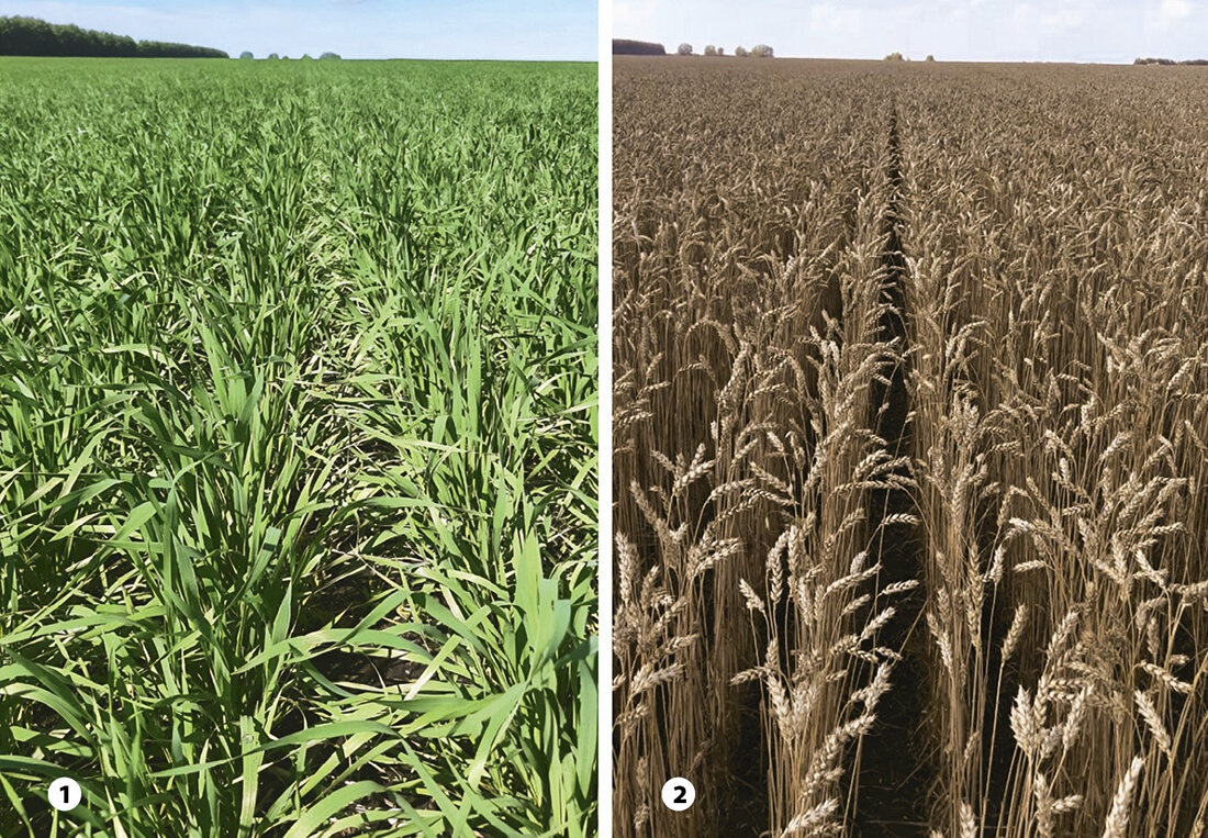 Аграрный опыт. Аграрный опыт. Трактор летит. Сергеев владислав сергеевич башинком. Аграрный опыт.