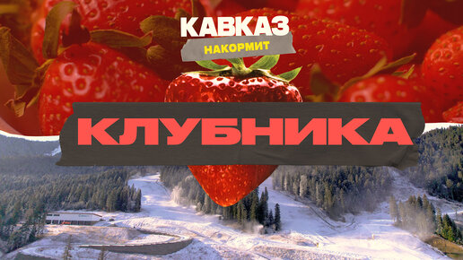 Клубника | Кавказ накормит