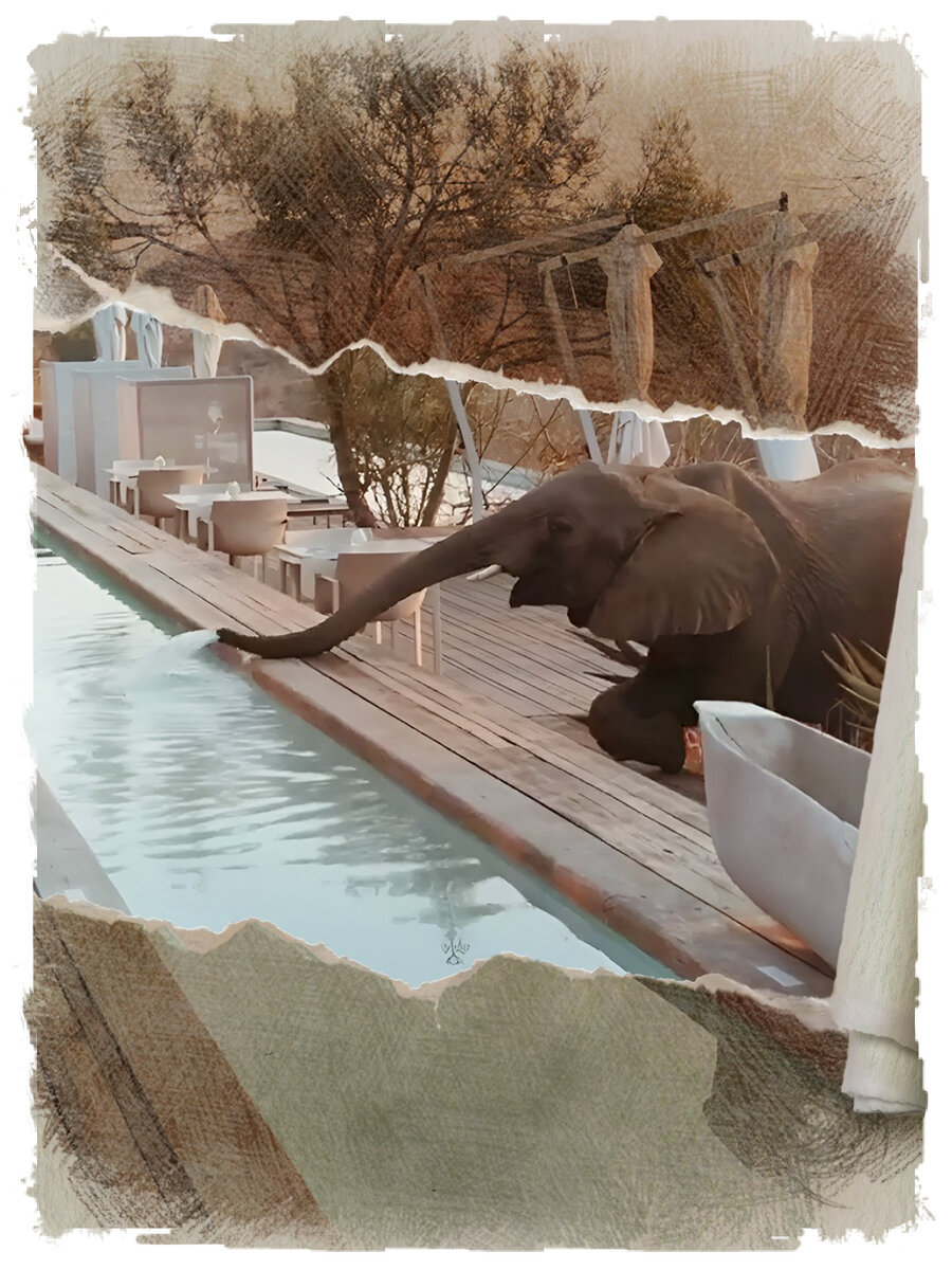 Представляй себя на этом месте