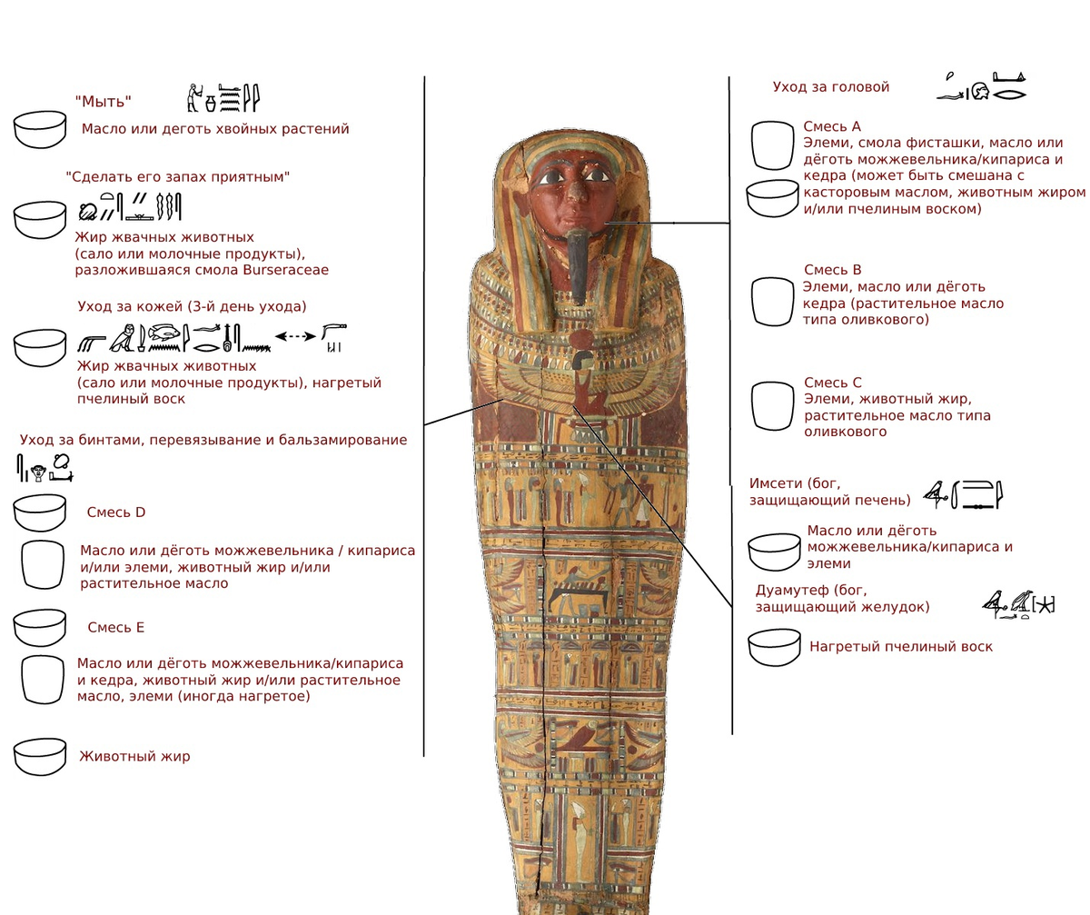 Как египтяне мумифицировали тела? Ученые нашли и прочитали древние рецепты  бальзамирования | АНТРОПОГЕНЕЗ.РУ | Дзен