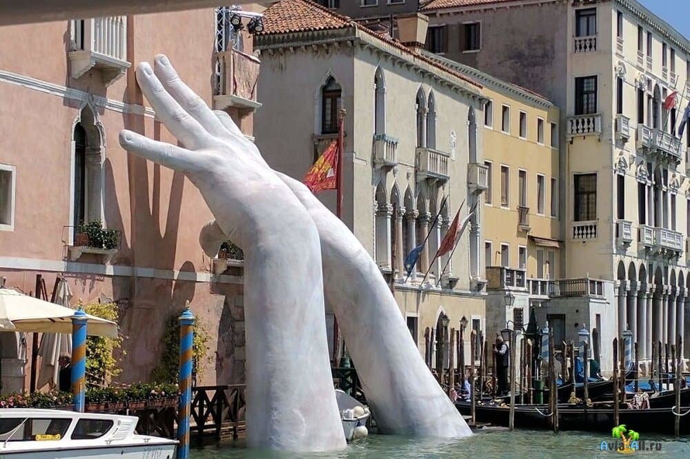 Фото с источников интернета