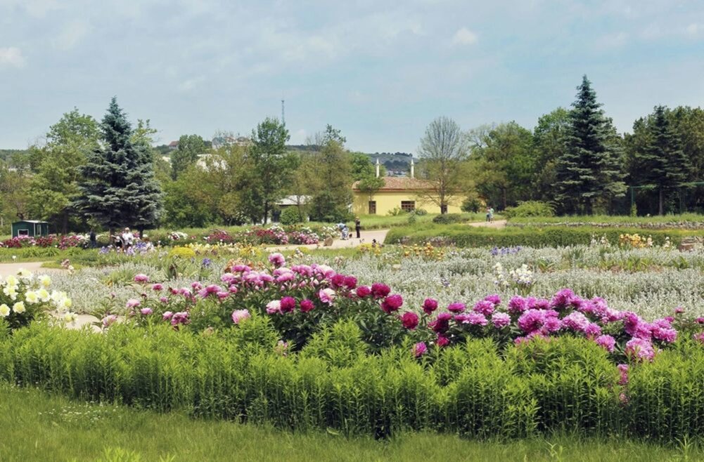Ветеран российского пчеловодства М.И. Миленин продолжает делиться своим уникальным теоретическим и практическим опытом работы с пчелами.