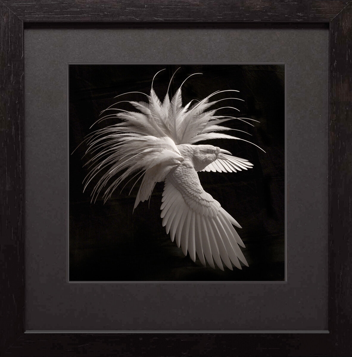 Источник: calvinnicholls.com