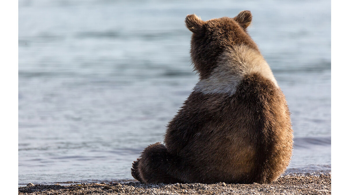 фото из источника m.ru24.net