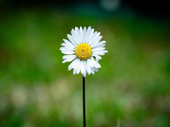     Photo by Guillaume de Germain on Unsplash