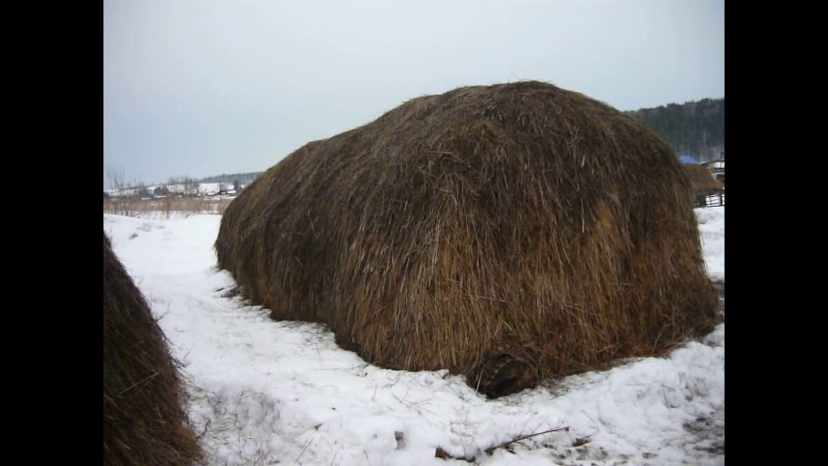 https://i.ytimg.com/vi/Q89YfazRfBI/maxresdefault.jpg  Фото из интернета.
