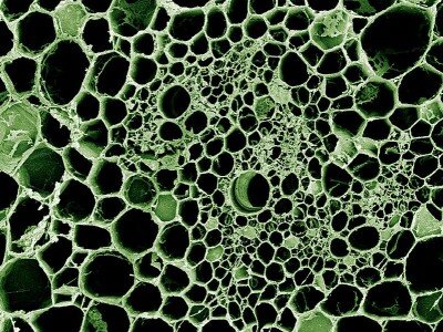    Графеновый аэрогель оказался невероятно эффективным водным фильтром