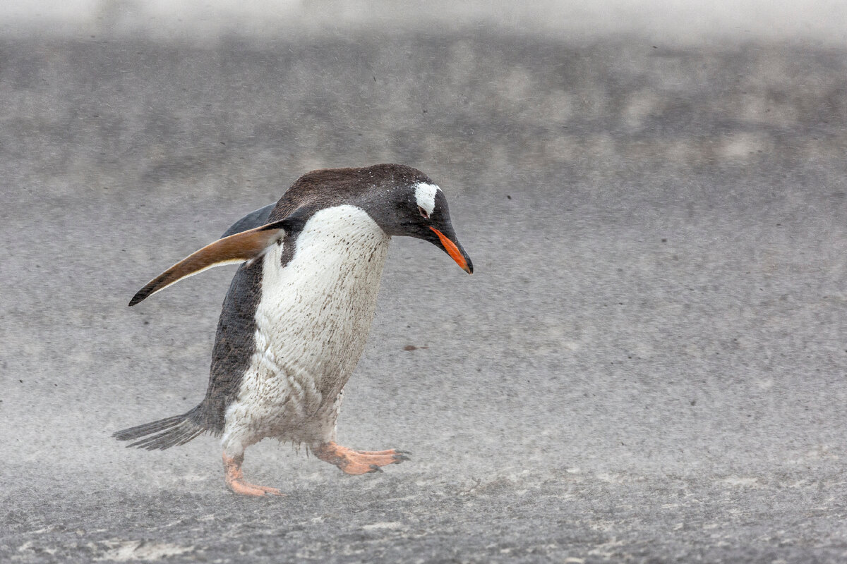 Когда начинаешь двигаться вперед, всегда тяжело...