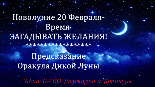 Новолуние 20