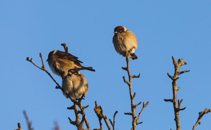    Юрий Еськов/Курские известия