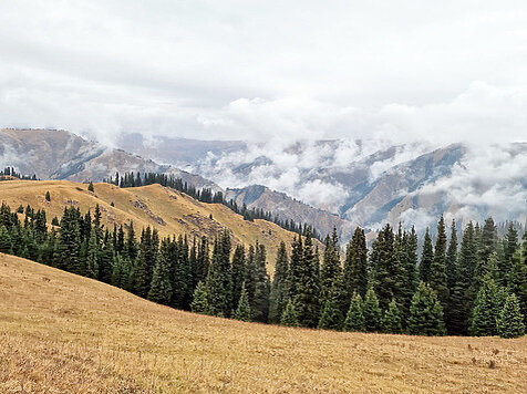 Фото автора.