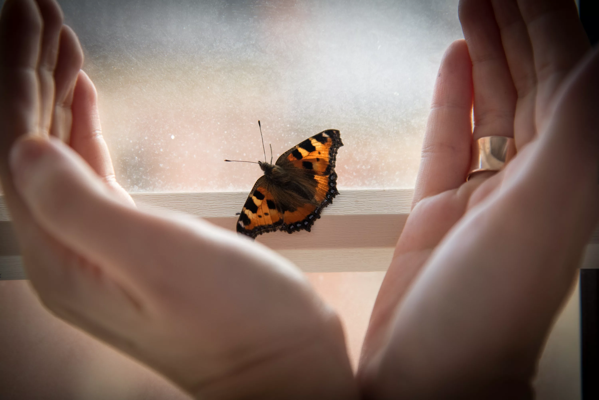 фото из интернета