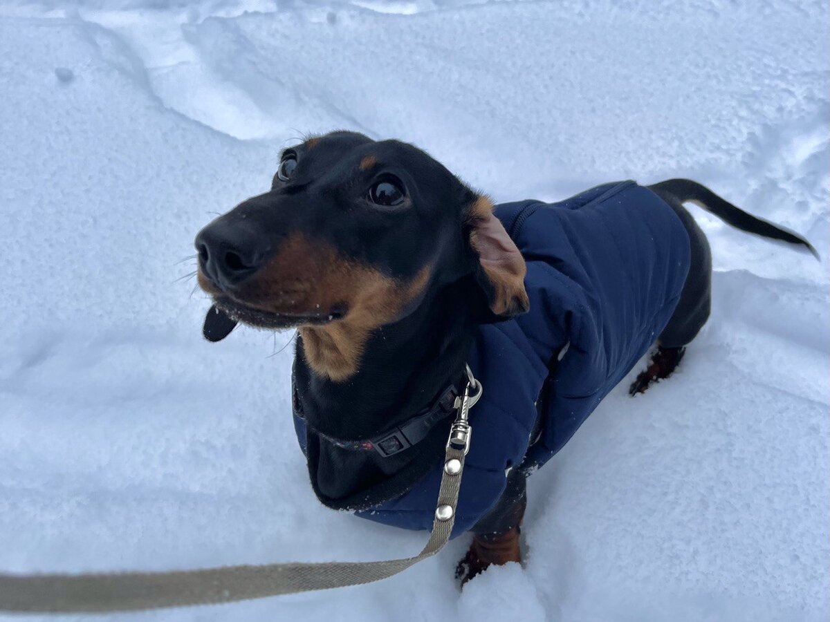 "Мамуль, мне и без одежды нормально!"