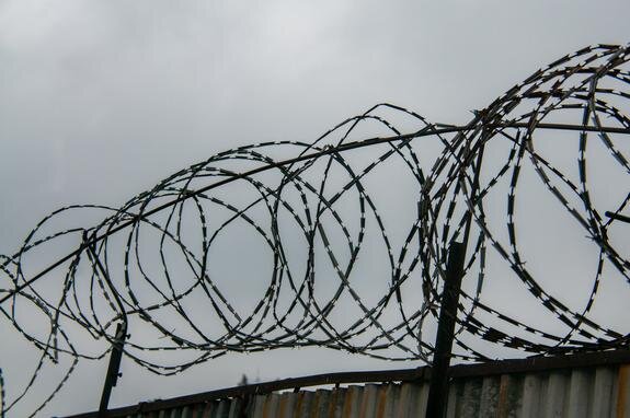    Колючая проволока, Svetlana Vozmilova/Global Look Press