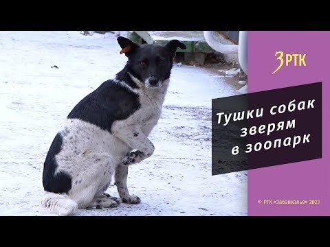 Смотрите это видео на YouTube.  
  редакция Регионов России  📷
