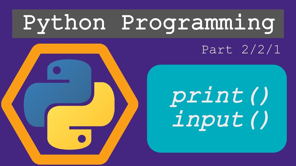 Python план обучения